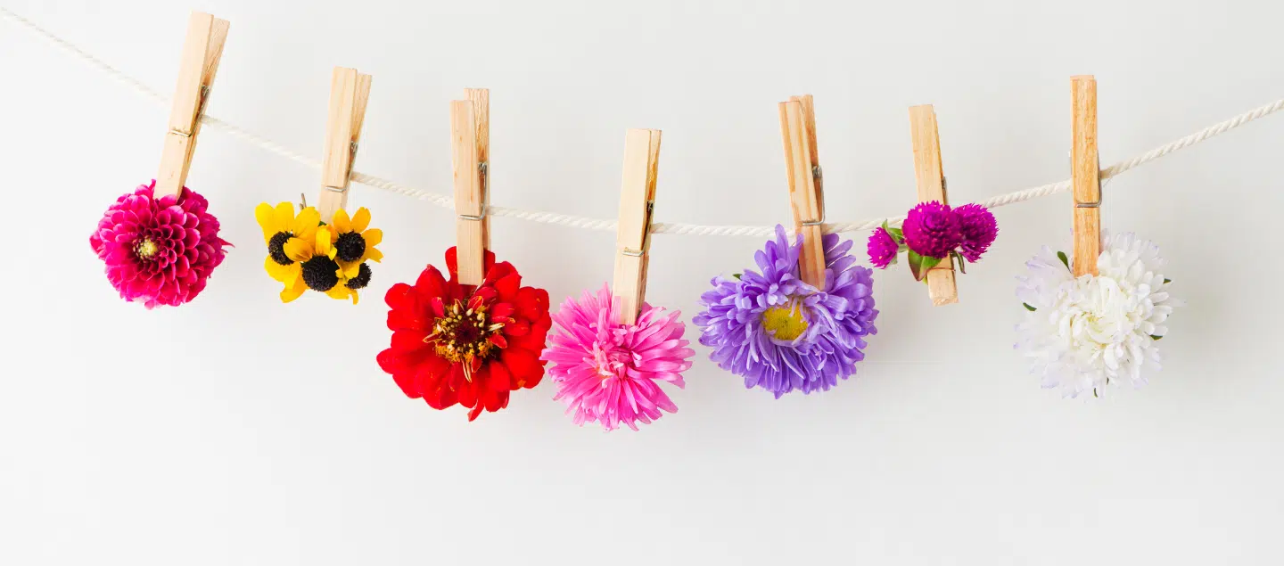 5 Digital Marketing Trends to Bloom Your Business This Summer
